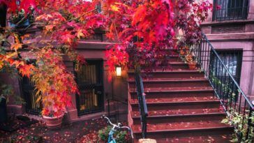 Cobble Hill, Brooklyn by Vivienne Gucwa