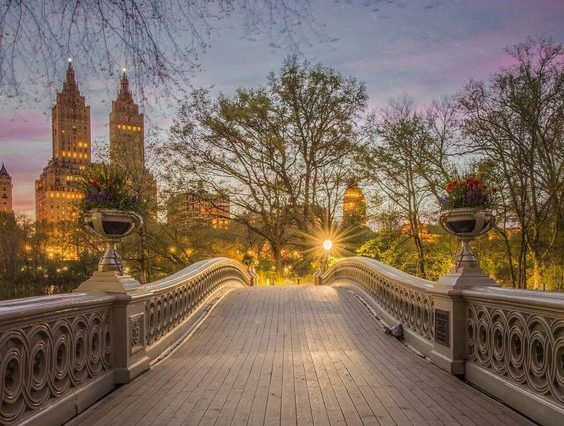 Bow Bridge Central Park by m_bautista330