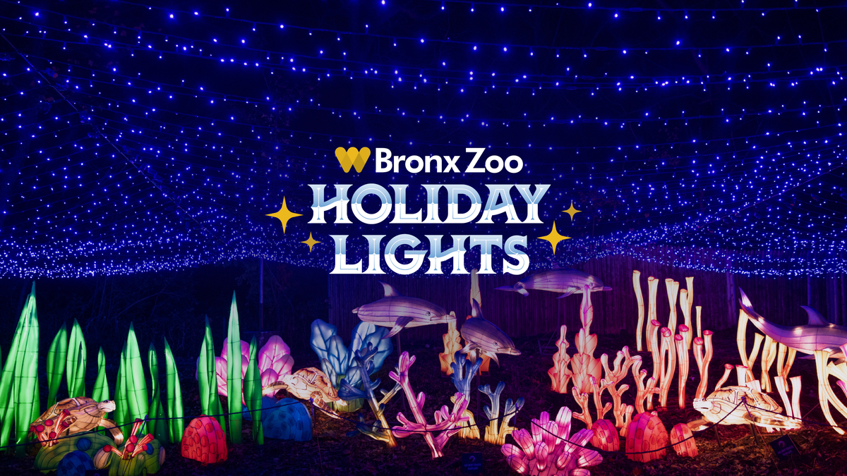 bronx zoo holiday lights