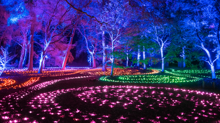 lightscape brooklyn botanic graden