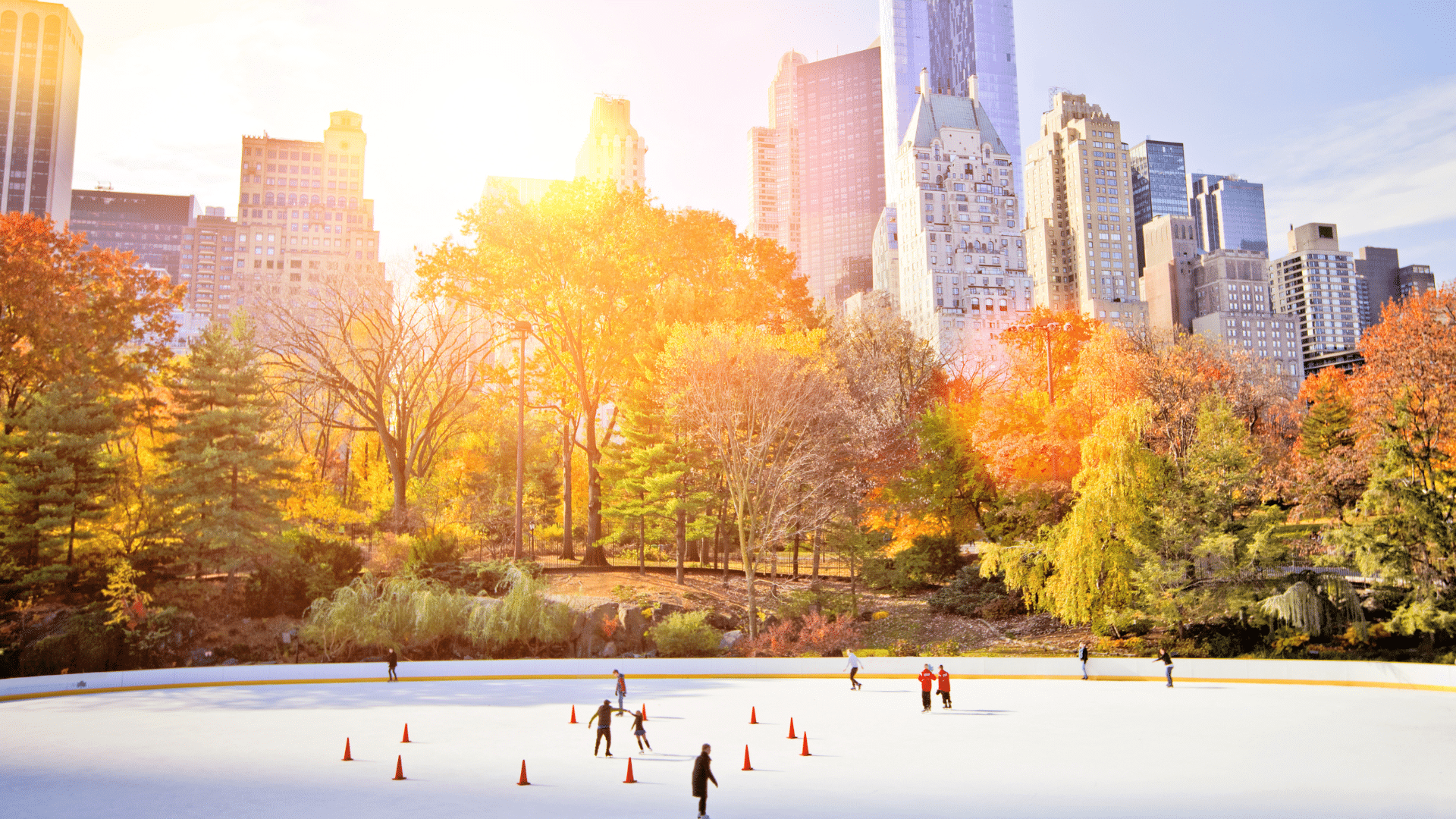 wollman rink central park