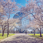 Spring at the Unisphere, Flushing Meadows Corona Park, New York City by @gigi_nyc Spring at the Unisphere, Flushing Meadows Corona Park, New York City by @gigi_nyc