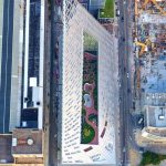 Looking down to find that nature hidden inside the concrete jungle of New York City matt pugliese photography Looking down to find that nature hidden inside the concrete jungle of New York City matt pugliese photography